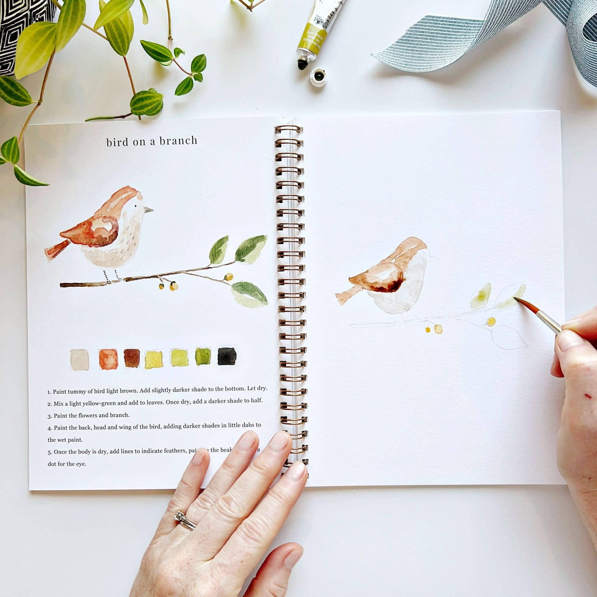 Animals Watercolor Workbook by Emily Lux