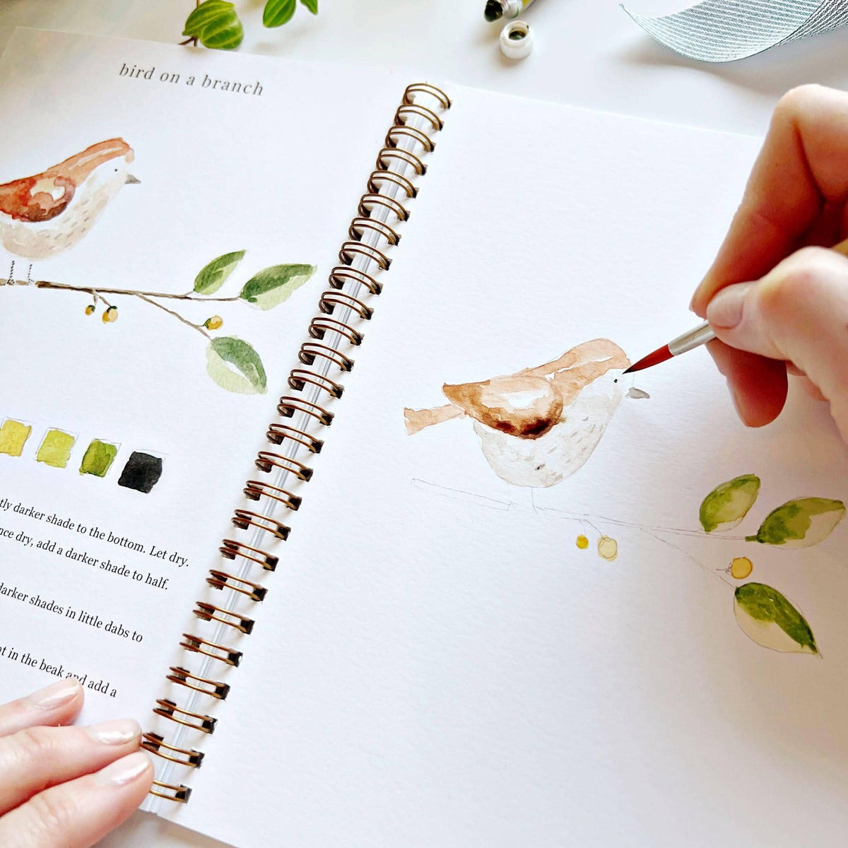Animals Watercolor Workbook by Emily Lux