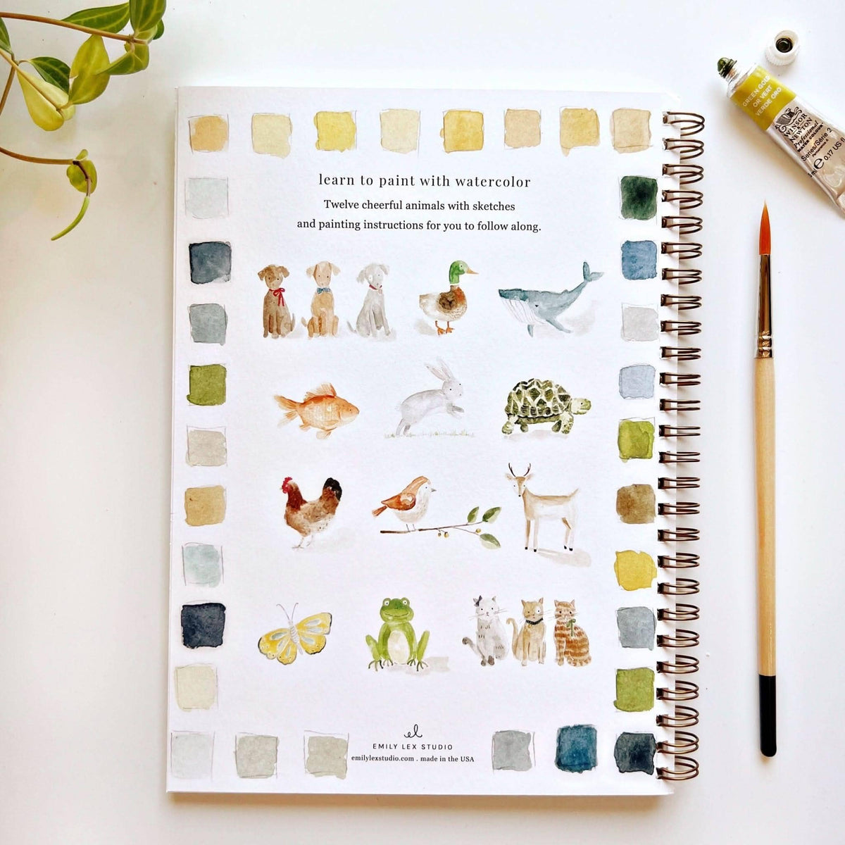 Animals Watercolor Workbook by Emily Lux