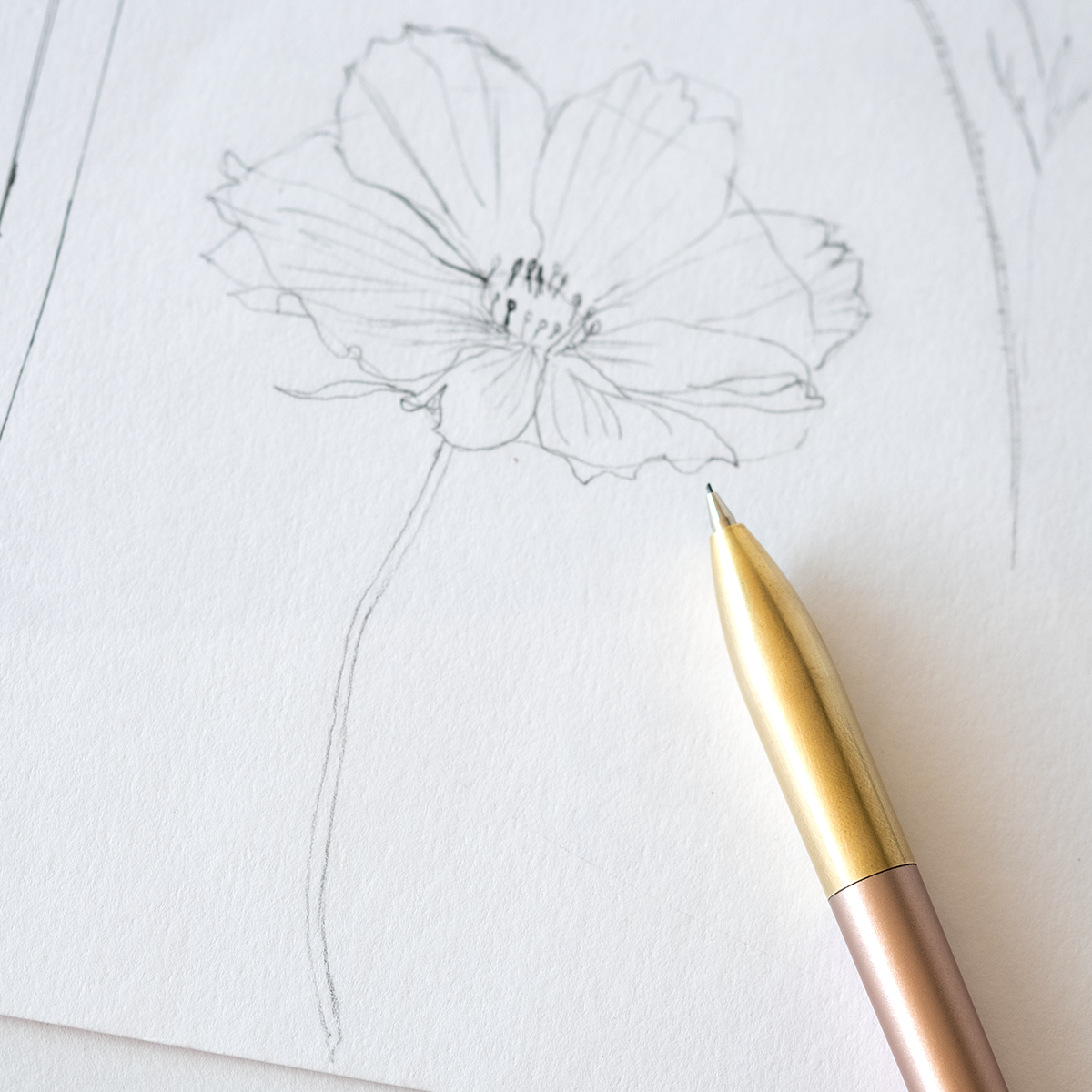 Mechanical Pencil