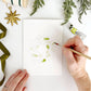 Wreaths Paintable Watercolor Notecard Set by Emily Lex