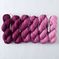Miss Babs Trunk Show Gradient Set Yummy 2 Ply Toes