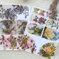 Junk Journal Page Pack- Botanical