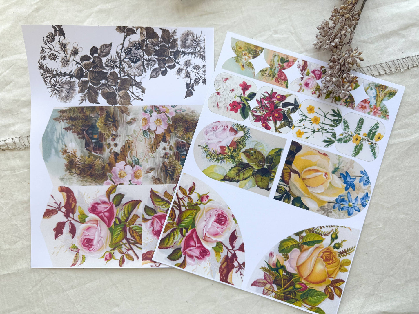 Junk Journal Page Pack- Botanical