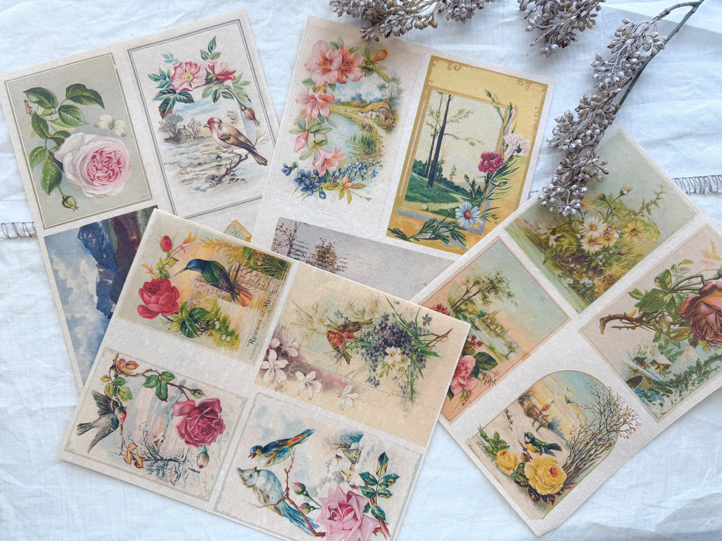 Junk Journal Page Pack- Botanical