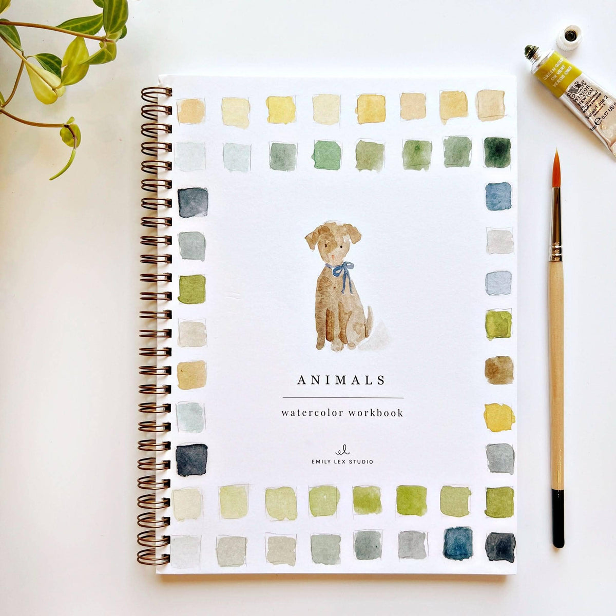 Animals Watercolor Workbook by Emily Lux