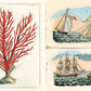 John Derian Sticker Book II