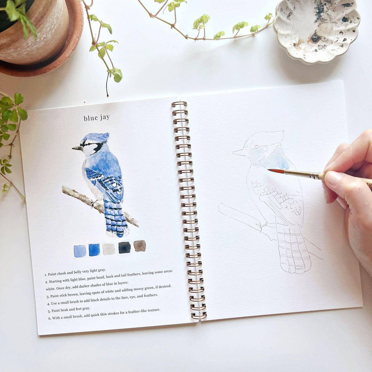 Birds Watercolor Workbook by Emily Lux