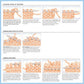 Vogue® Knitting The Ultimate Knitting Book