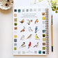 Birds Watercolor Workbook by Emily Lux