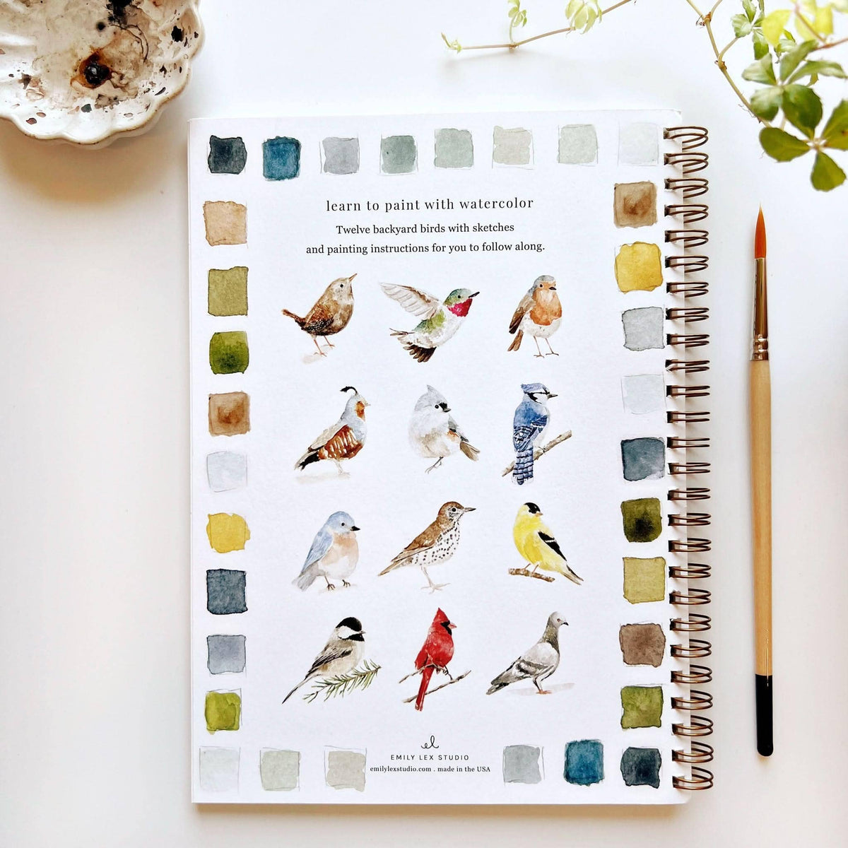Birds Watercolor Workbook by Emily Lux