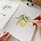 Fruit watercolor workbook by Emily Lux
