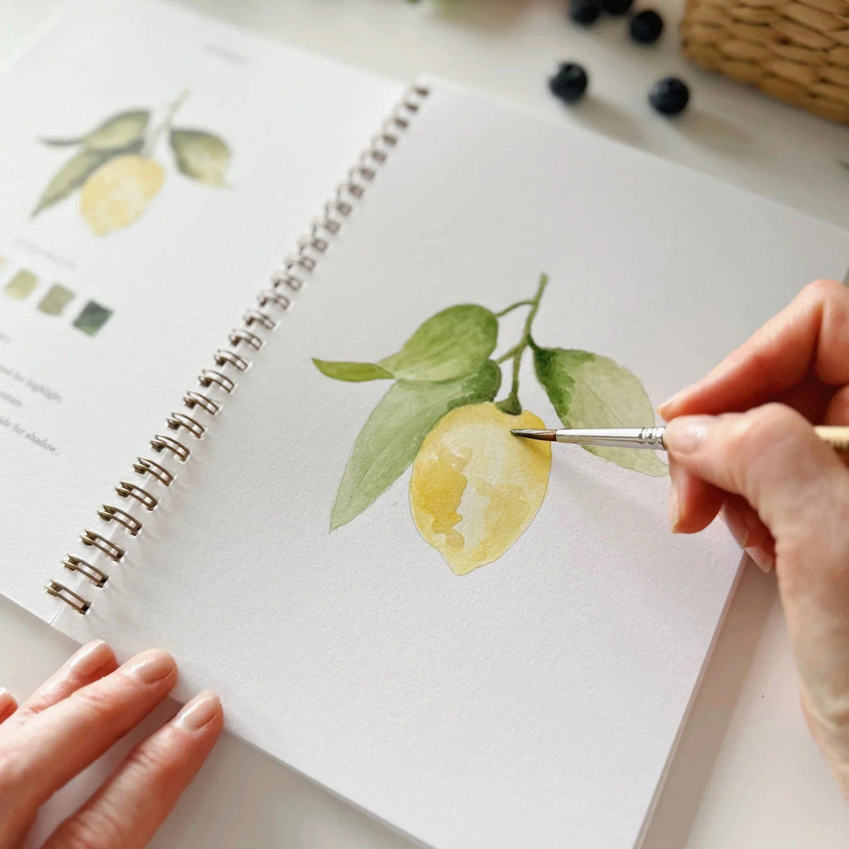 Fruit watercolor workbook by Emily Lux
