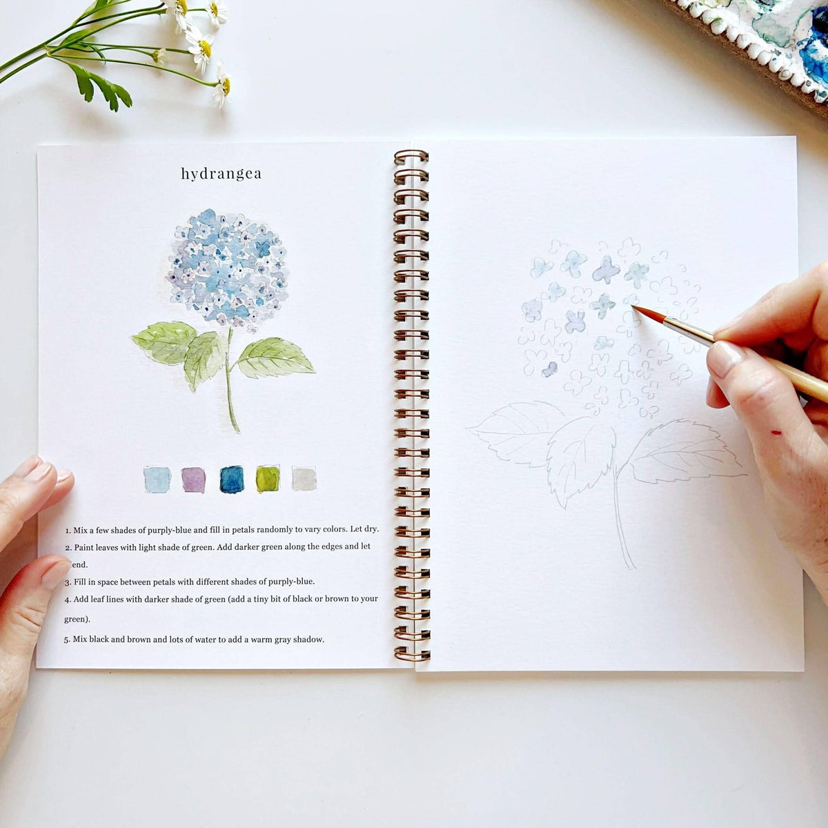 Flowers watercolor workbook by Emily Lux