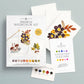 Watercolor Painting Kit : Woodland Botanicals