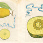 John Derian Sticker Book II