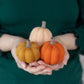 Pumpkin Knitting Workshop (Kick-off Oct 3)