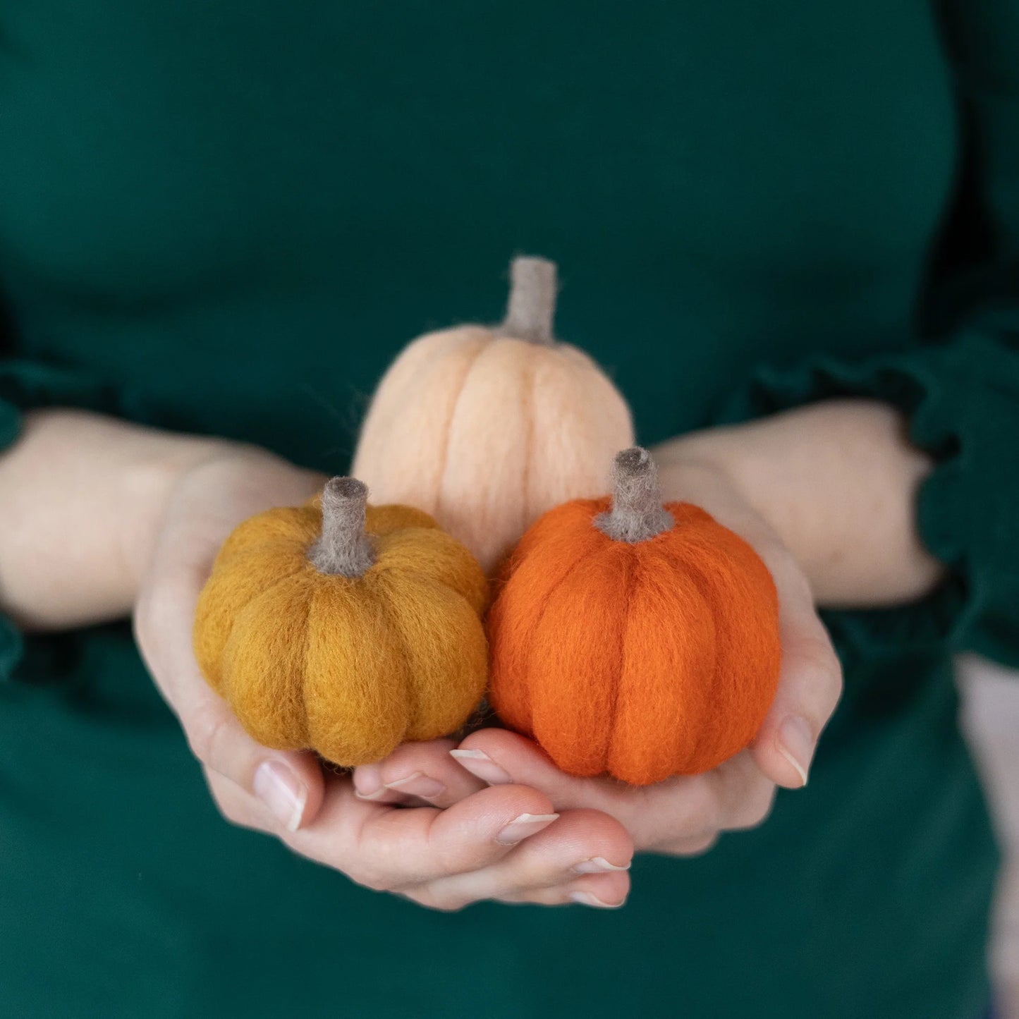 Needle Felting Along - In time for Fall Workshop