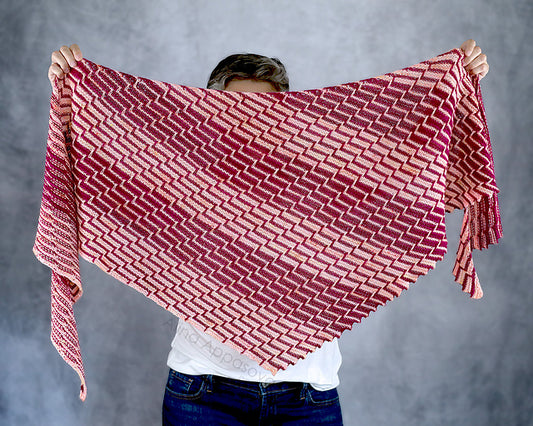 Tessella Shawl Kit by Alina Appasova