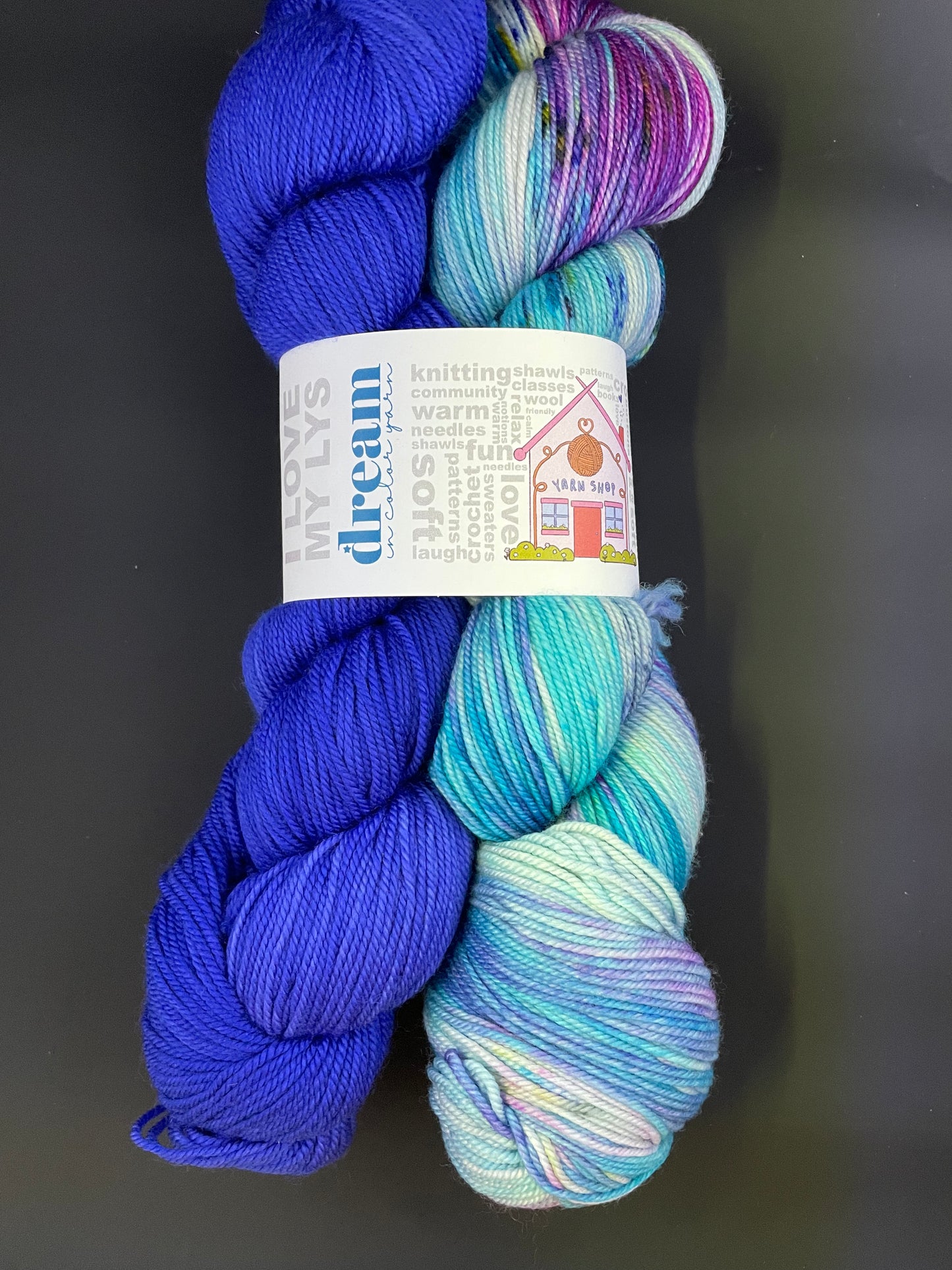 Dream in Color Smooshy Cashmere LYS Day Special